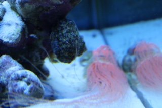 New Baby_5-21-15h.jpg