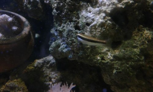20150407_150249.jpg