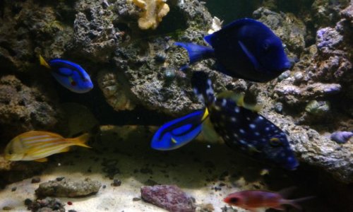 20150527_210118.jpg