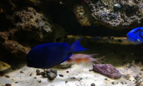 20150527_210155.jpg