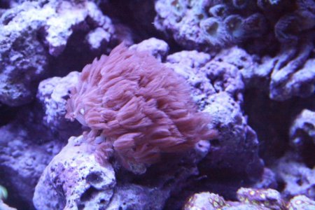 IMG_1586.jpg