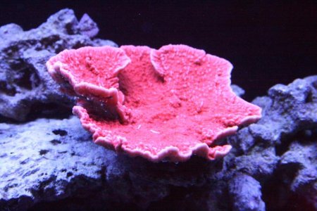 IMG_1587.jpg