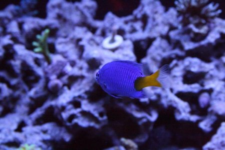 IMG_1591.jpg