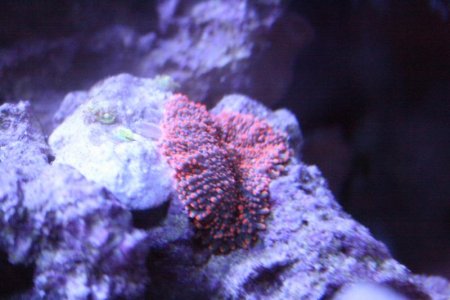 IMG_1593.jpg