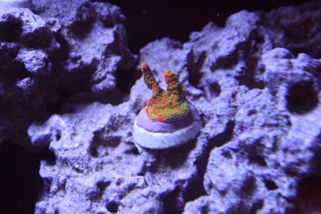 IMG_1594.jpg