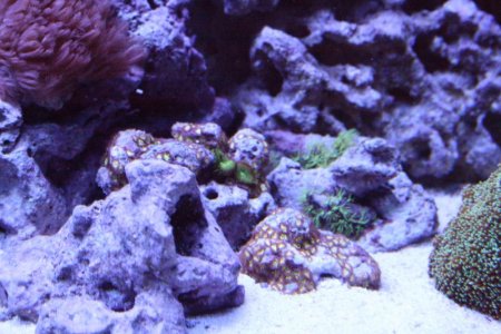 IMG_1595.jpg