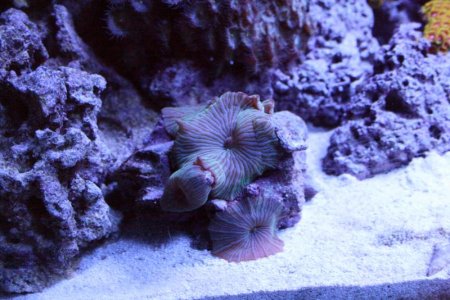 IMG_1610.jpg
