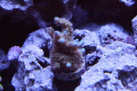IMG_1613.jpg