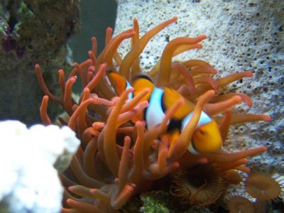 paulie's pictures 253.jpg