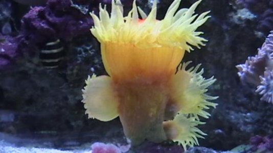 IMGA0463.jpg