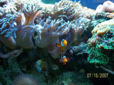 paulie's pictures 040.jpg