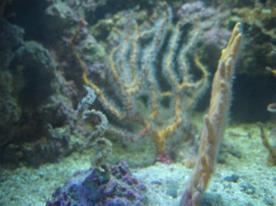 IMG_1616.jpg