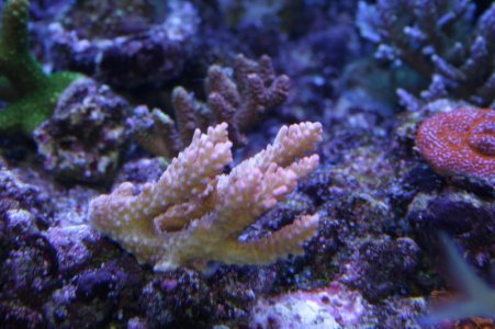 IMG_7045.jpg
