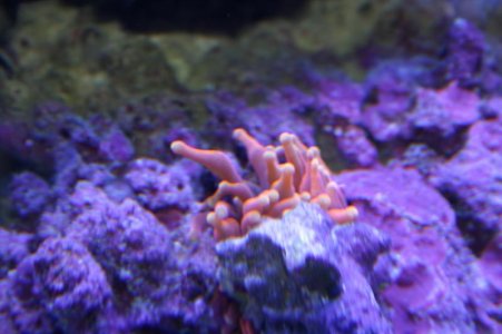 IMG_7046.jpg