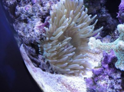 2010-03-07 002 (640x480).jpg