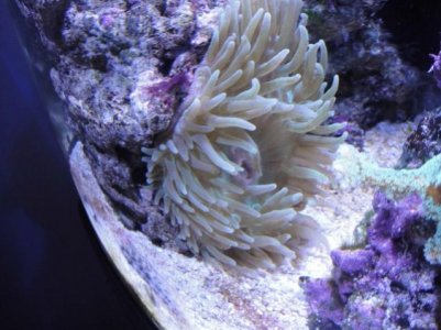 2010-03-07 003 (640x480).jpg