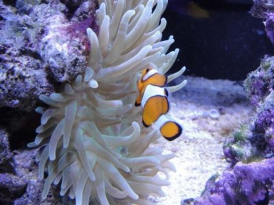 2010-03-07 004 (640x480) (2).jpg