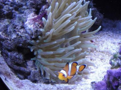 2010-03-07 006 (640x480).jpg