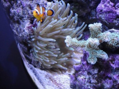 2010-03-07 001 (640x480).jpg