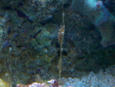 2010-03-08 20.34.54.jpg