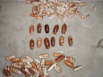 Brown olives top.jpg