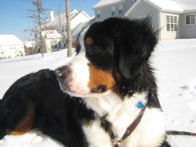 buster 044-1.jpg