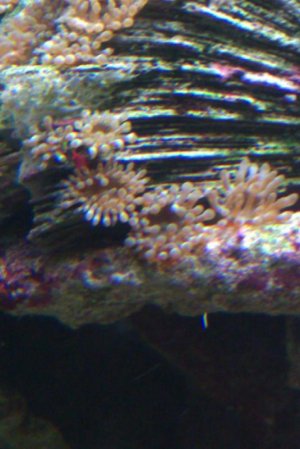IMAG0042.jpg