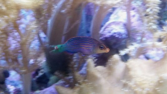 2015-06-02 20.58.13.jpg