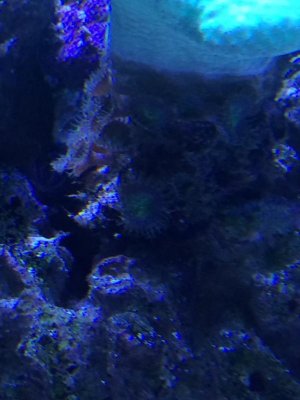 IMG_0619.jpg
