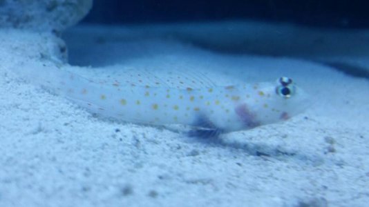 tmp_20006-2015-05-06 19.27.521383074727.jpg