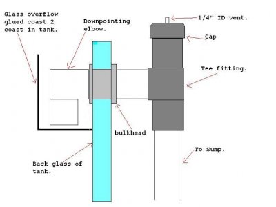 ReverseDurso.jpg ReverseDurso.jpg