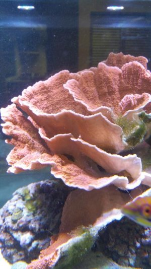 20150507_123146.jpg