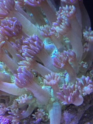 ImageUploadedByTapatalk1431108123.487478.jpg