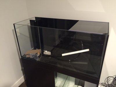 image1(2) (800x600).jpg