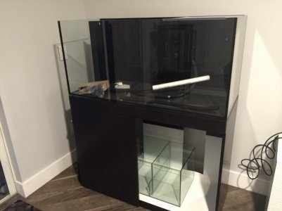 image2(2) (800x600).jpg