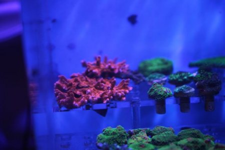 IMG_1755.jpg