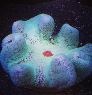 2015-06-05 23.56.10.jpg