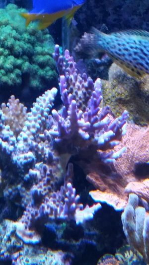 20150511_073833.jpg
