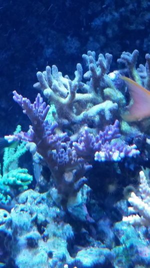 20150511_073843.jpg