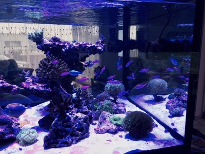 FullSizeRender (6).jpg