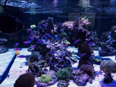 FullSizeRender (3).jpg