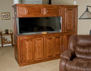 Cabinet & canopy final 72.jpg