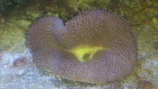 2015-05-12 19.45.30.jpg