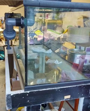 156 gal 2.jpg
