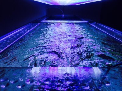 Full lenght tank..jpg