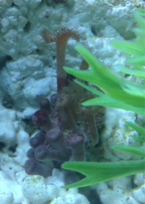 Screen Shot 2015-05-14 at 9.12.03 PM.jpg