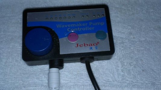 IMAG0588.jpg