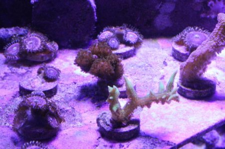 IMG_5682.jpg