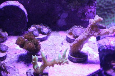IMG_5683.jpg