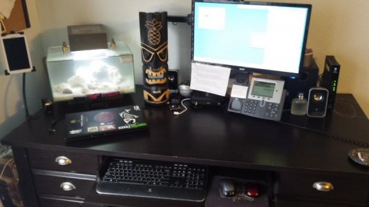 nano tank desk.jpg